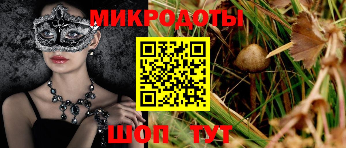 купить наркотики цена  Светлоград  Псилоцибиновые грибы Cubensis 