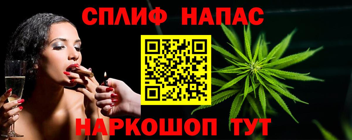 Канабис конопля Светлоград